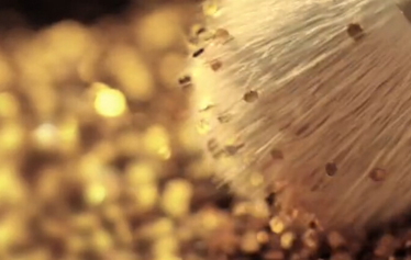 《春华 · 秋实》花絮