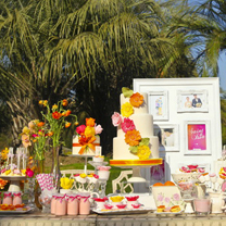 裔莎和帅帅的婚礼