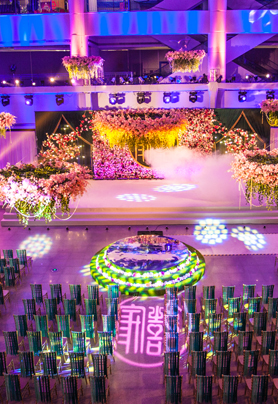 In the spring garden