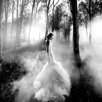 “点苍叶榆 昆弥川悦”云南大片精彩呈现