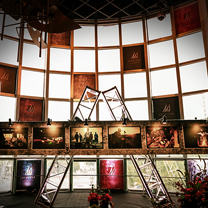 傲雪寻“梅”——为爱而来