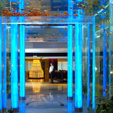 上海世茂皇家艾美酒店2011情人节和新年餐饮活动