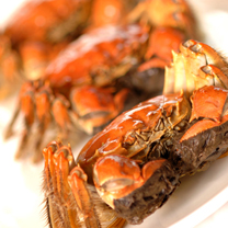 世茂皇家艾美11月餐饮信息