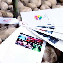 INS倾情钜献外滩茂悦婚礼秀