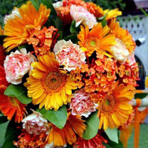 橘色系的室外证婚仪式