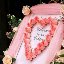 粉色婚礼 如童话般唯美