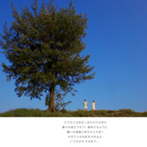 鼓浪屿的悠闲假期