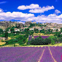 普罗旺斯 蜜月的胜地(组图)