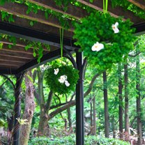 仙炙轩夏季的绿色婚礼