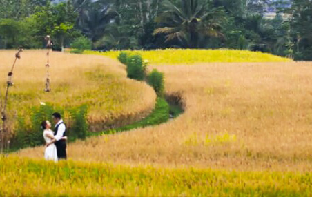 巴厘岛婚纱旅拍