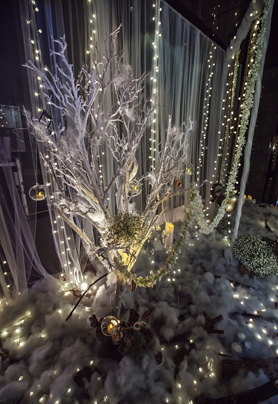 渐入冬季的森林