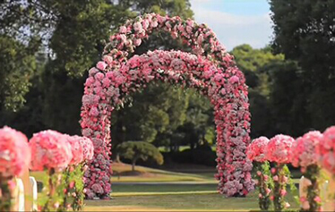 婚礼现场《Close to You》