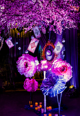 不一样的爱丽丝