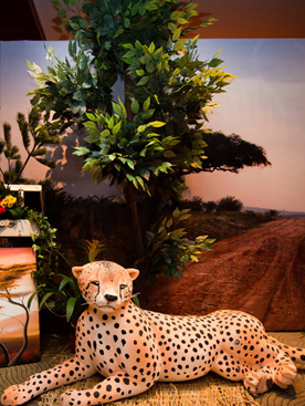 非洲风情主题婚礼