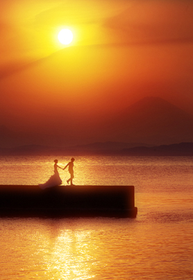 日本 ｜ 樱满天 