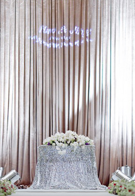 蝴蝶兰主题布置