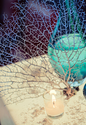 海洋主题婚礼布置