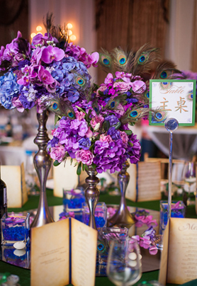 孔雀羽毛主题婚礼