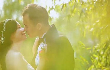 一年，爱的奋斗史