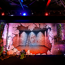 傲雪寻“梅”——为爱而来