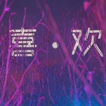 万物皆由《喜·欢》—麦瑞主题婚礼秀