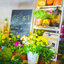 麦瑞婚礼策划:定制婚礼的故事(一) —马卡龙与布朗尼的邂逅