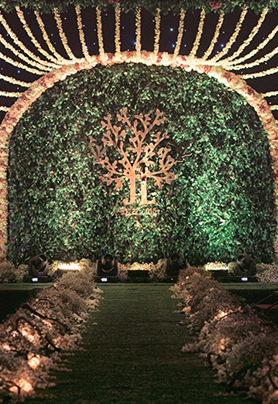 The seed in our heart