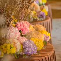 艾俪婚礼携兰诺婚纱华丽上演婚礼秀『爱的秘密花园』