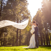 万花筒——我在最近的未来见证万花盛开