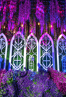 中国婚礼之归宁