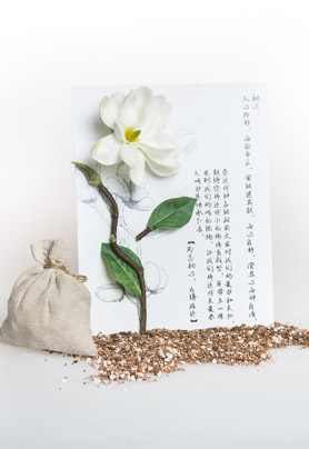 爱的供养-请柬礼盒