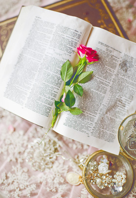 梦中的秘密花园