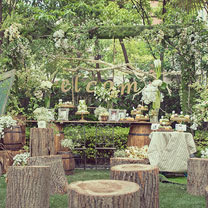 木叶传情 共白首