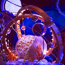 天马星空,一见倾心