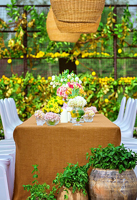 爱“吃”柠檬的新娘