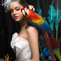 激情六月 “舞动”南美