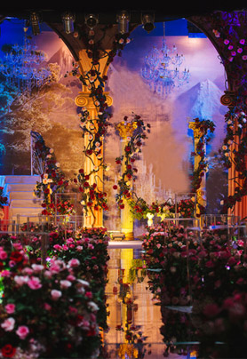 The only rose  for only you