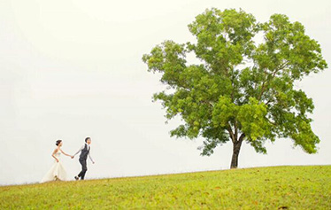 Brandystudio摄影作品合集