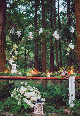 少女情怀总是诗