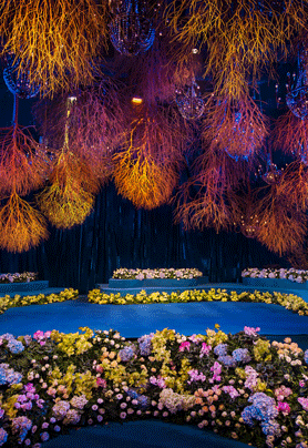 Stanley′s fantasyland