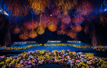 Stanley′s fantasyland