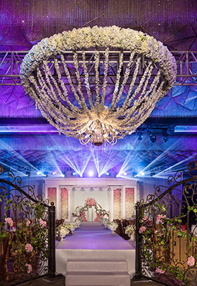 我们梦想的星空