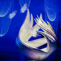 【宴会趋势发布】纷扰尘世中的一缕温暖——南京皇家婚礼顾问中心《翼WING》