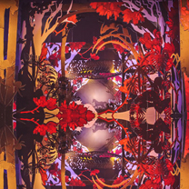 【宴会趋势发布】放大每一个做过的梦!— 伯妮婚礼策划机构《密林回廊》