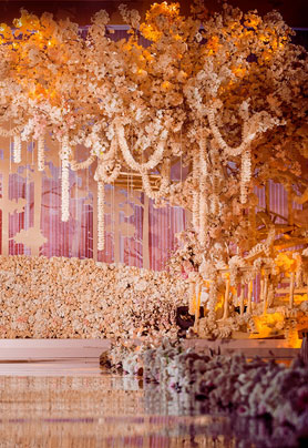 沉醉·与你沐阳听风暖时光