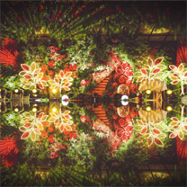 【萤火之森】一场非典型森系婚礼