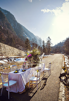 给初雪的一首情诗