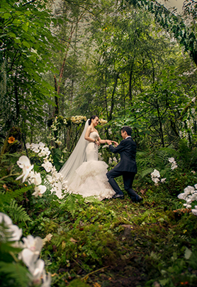 爱情的盛夏回忆