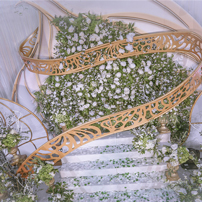 爱如郁金香般绽放