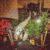 中秋节要过传统的,那中式婚礼就来点不一样的!